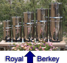 My family uses the middle-sized Royal Berkey, pictured